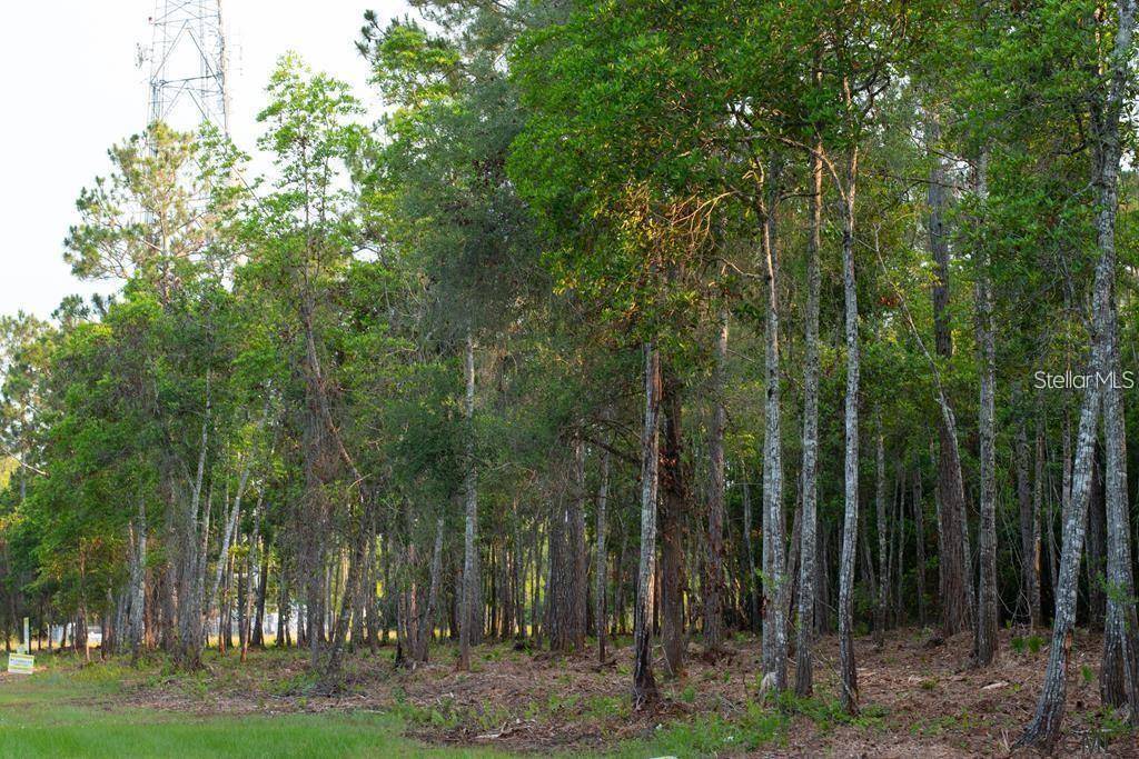 53XX US HWY 1 N, Bunnell, FL 32110