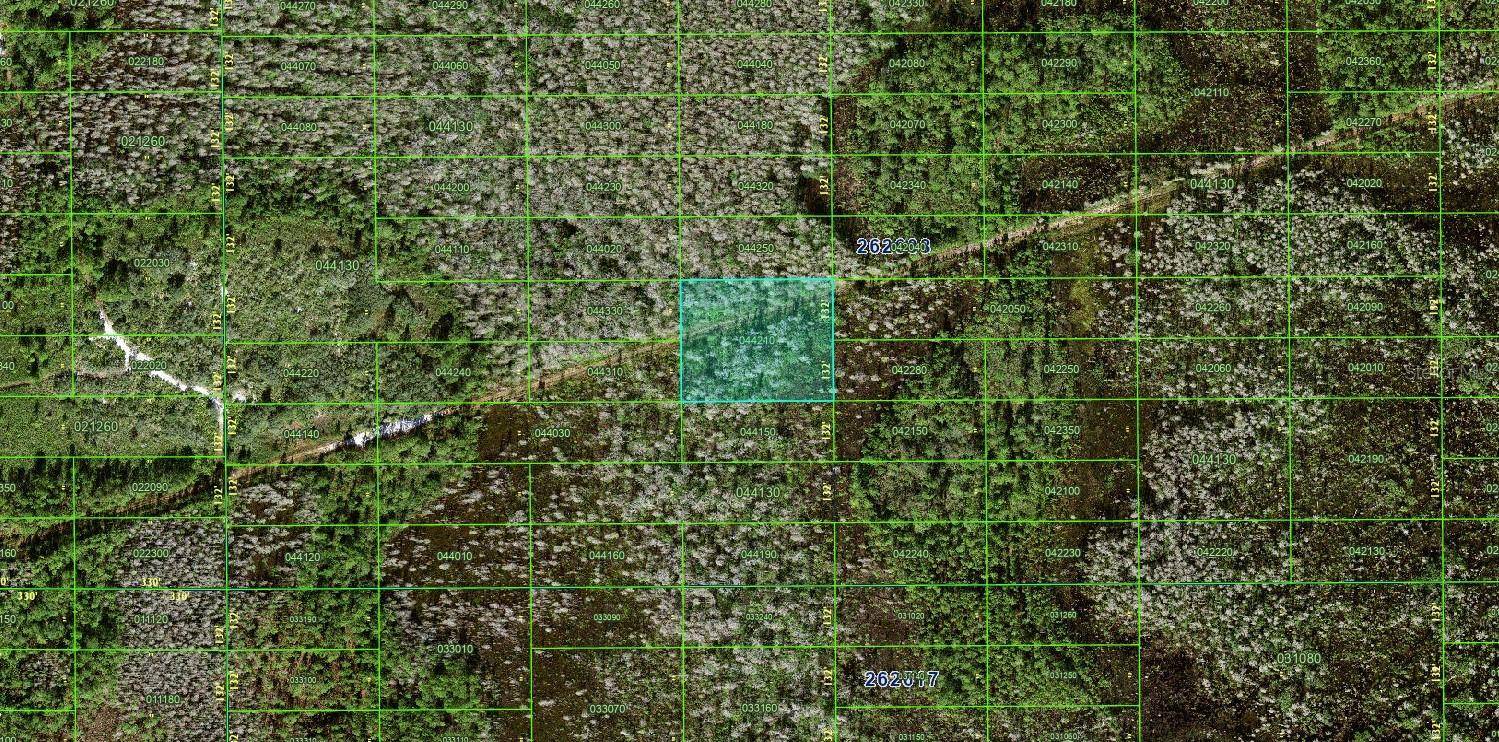 Polk City, FL 33868