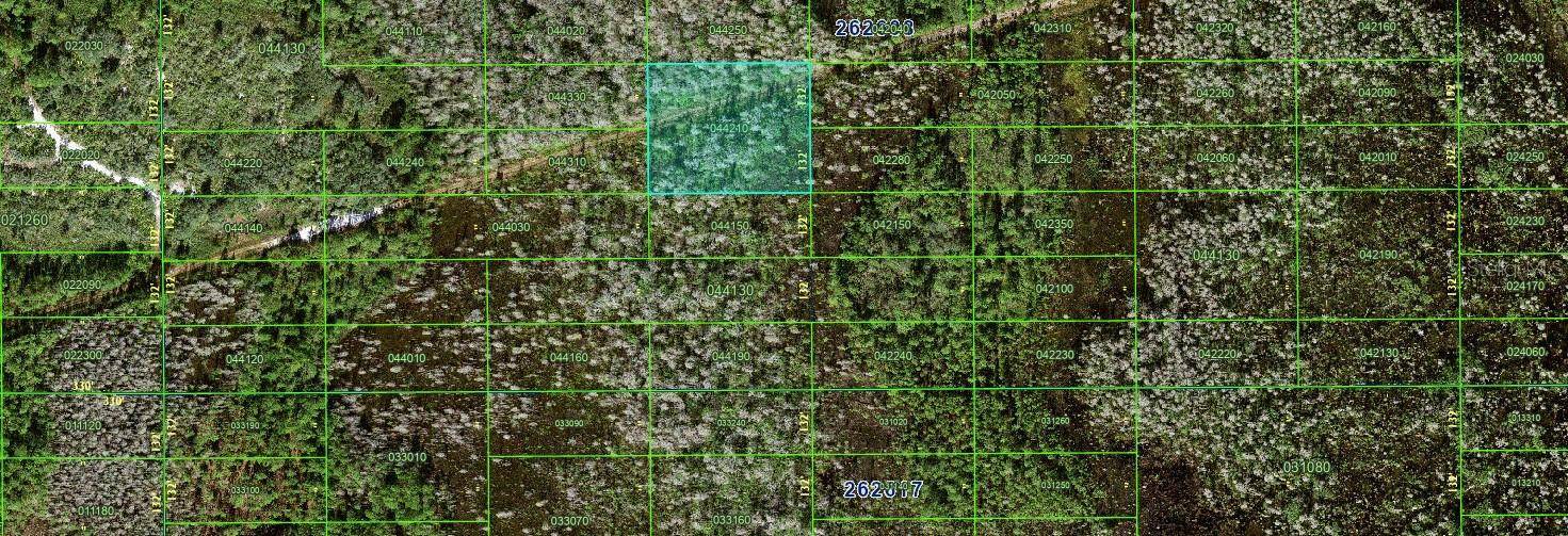 Polk City, FL 33868