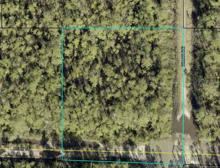 000 KELLY ST, Hastings, FL 32145