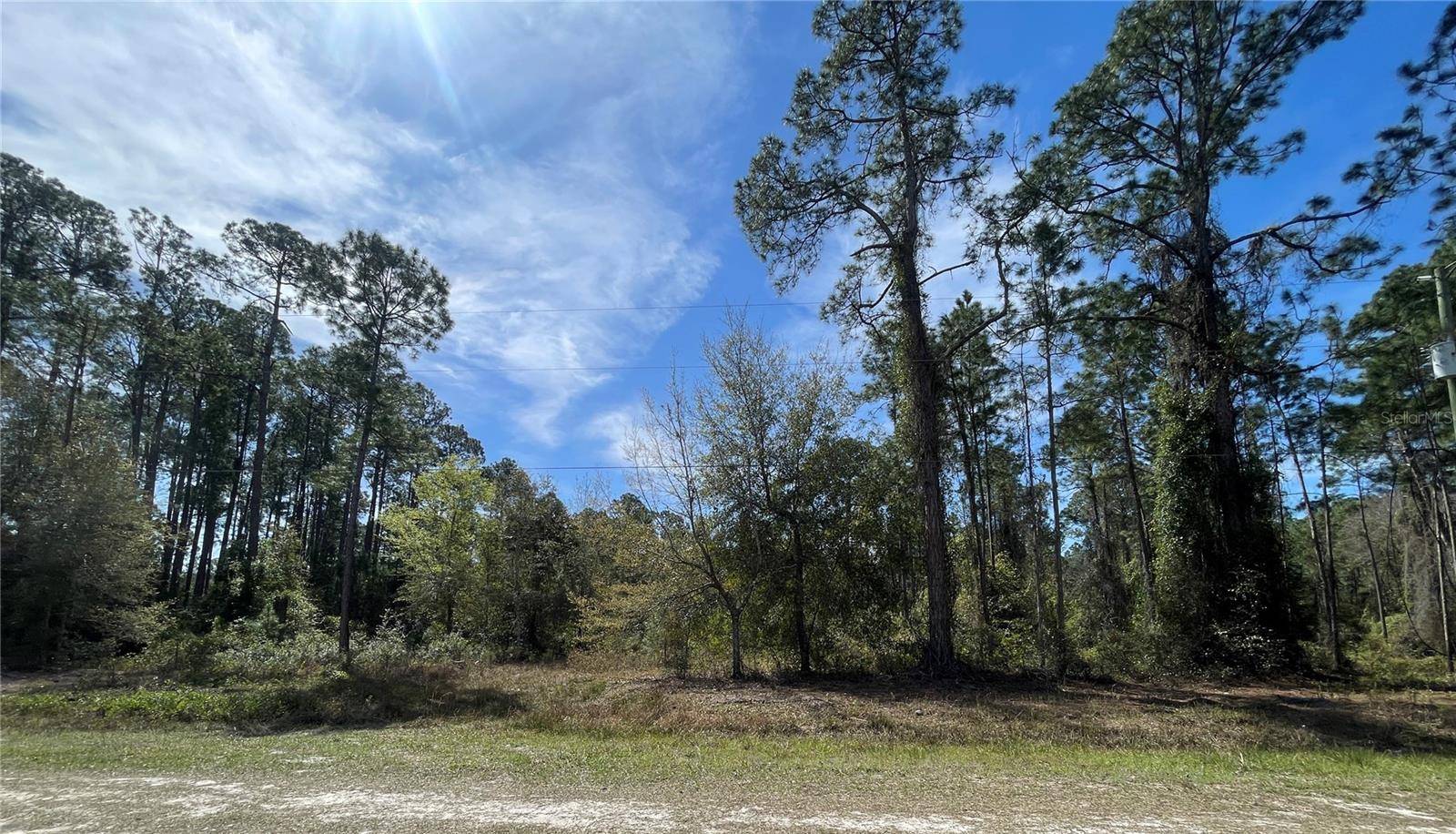 103 ROSEWOOD ST, Georgetown, FL 32139