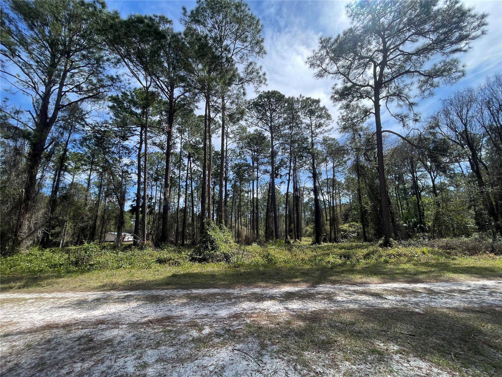 105 ROSEWOOD ST, Georgetown, FL 32139