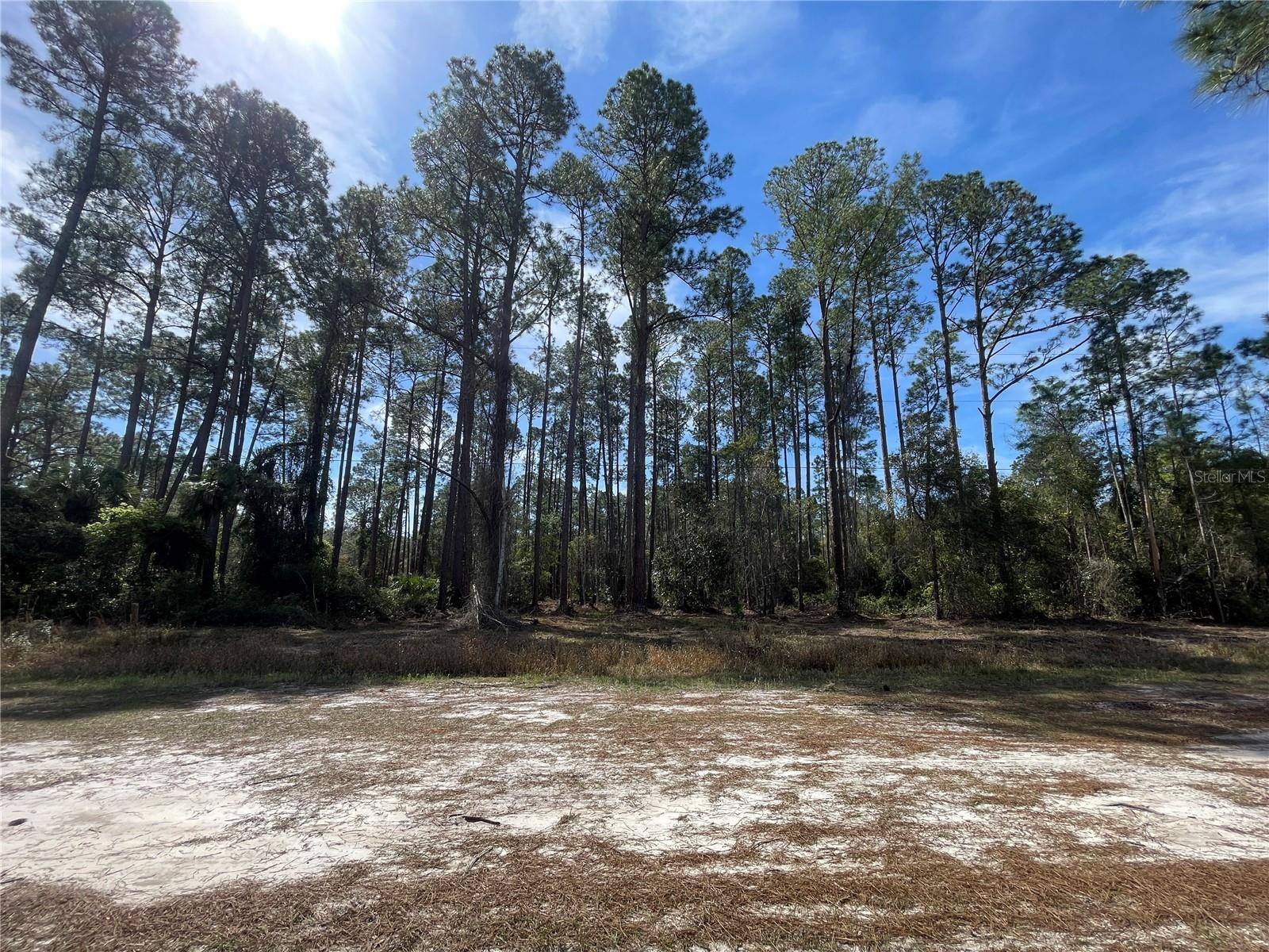 105 ROSEWOOD ST, Georgetown, FL 32139