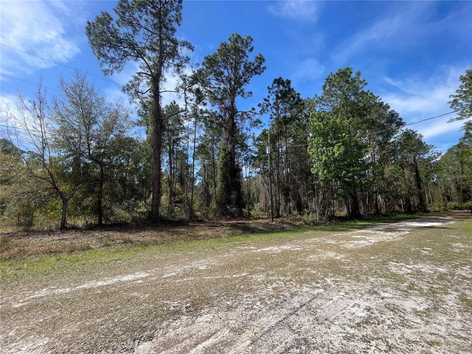 107 ROSEWOOD ST, Georgetown, FL 32139