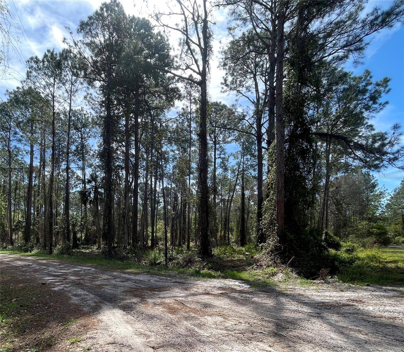107 ROSEWOOD ST, Georgetown, FL 32139