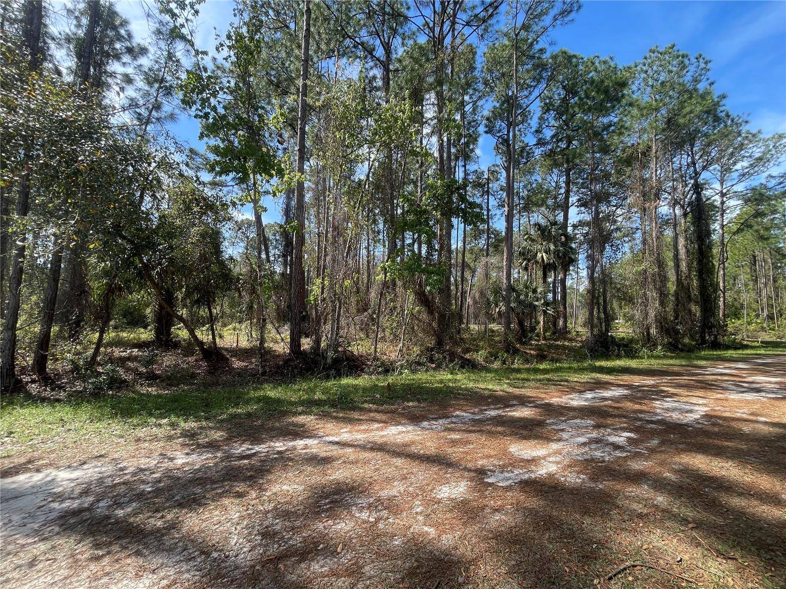 107 ROSEWOOD ST, Georgetown, FL 32139
