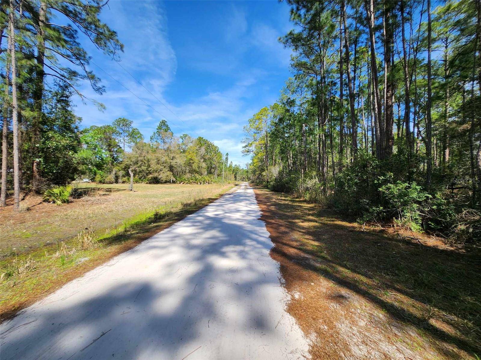 116 MOSSWOOD ST, Georgetown, FL 32139