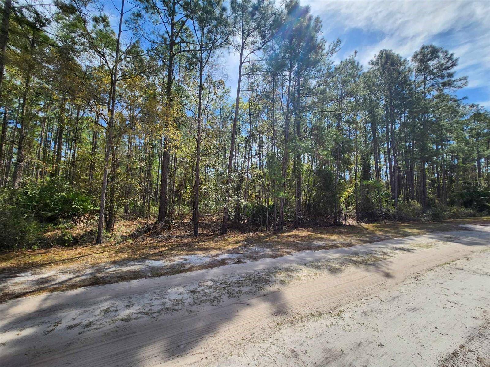 116 MOSSWOOD ST, Georgetown, FL 32139