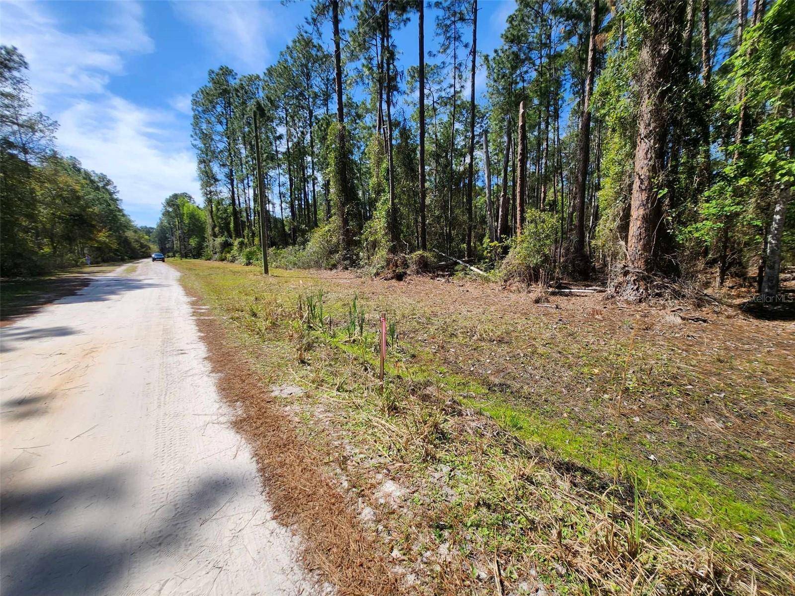 114 MOSSWOOD ST, Georgetown, FL 32139