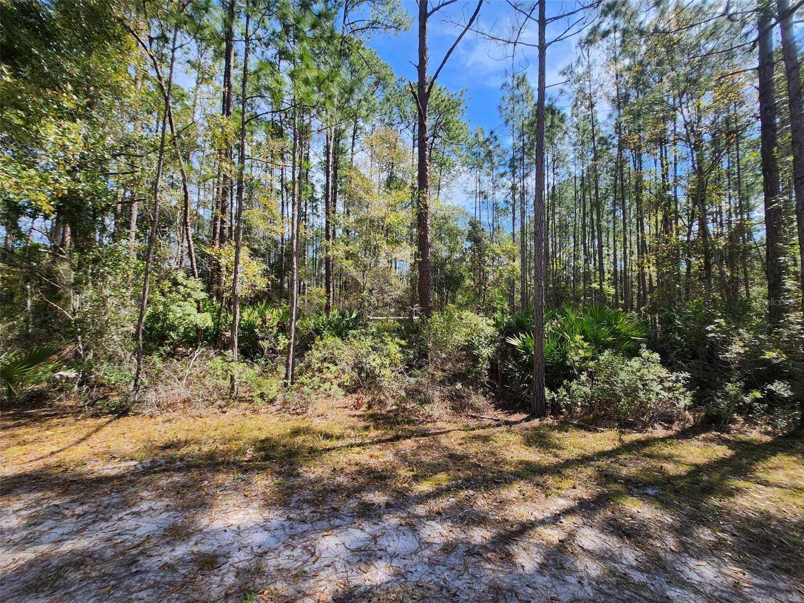112 MOSSWOOD ST, Georgetown, FL 32139