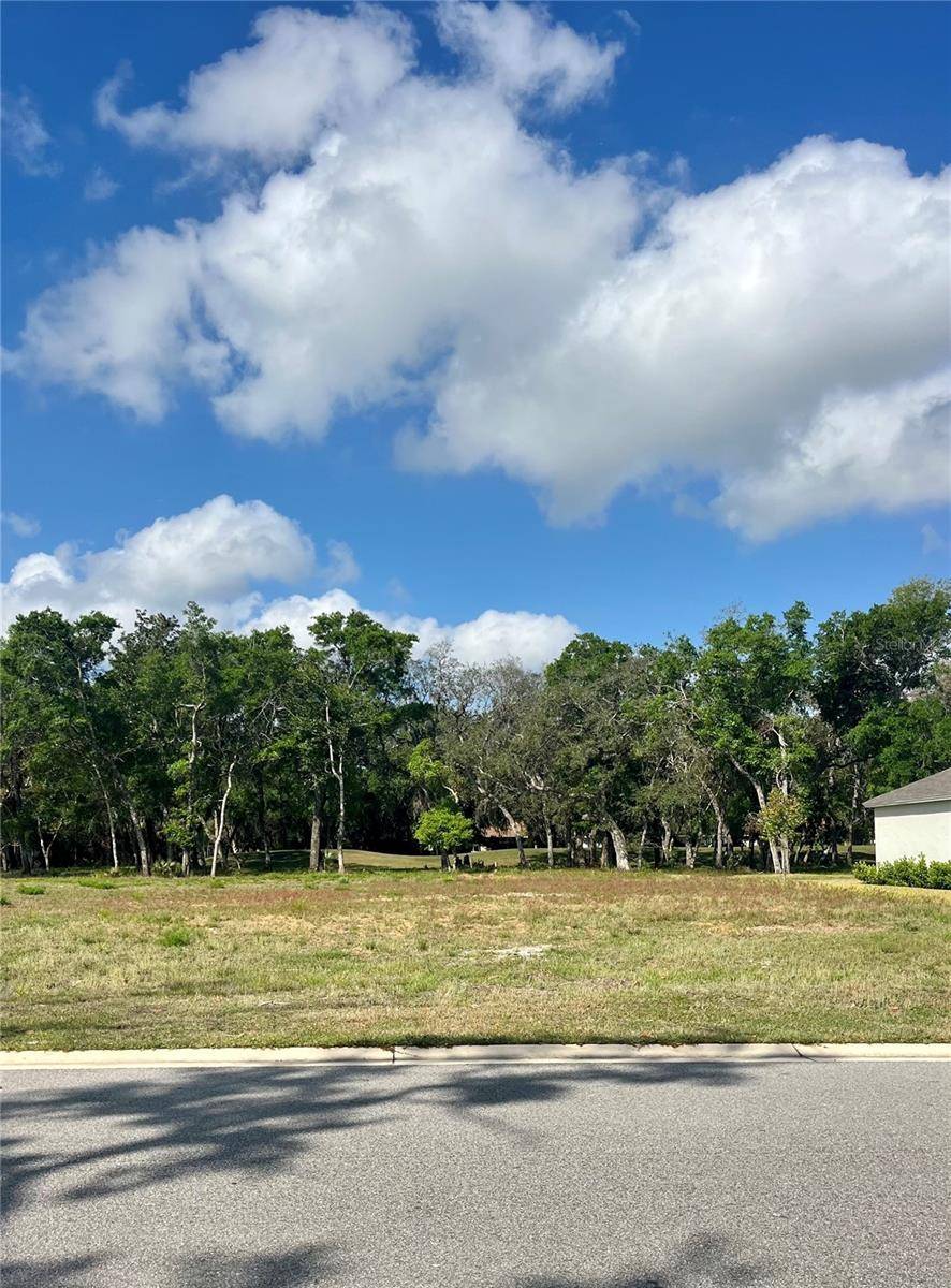 3138 SILVERMINES AVE, Ormond Beach, FL 32174