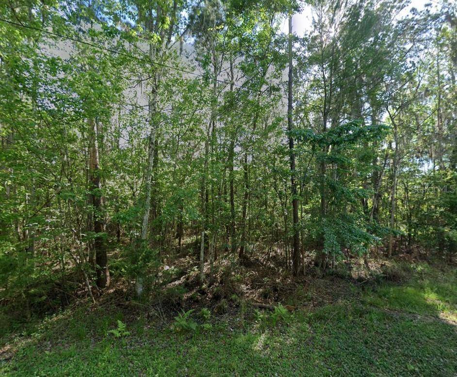 21779 NE 115TH AVE, Earleton, FL 32631