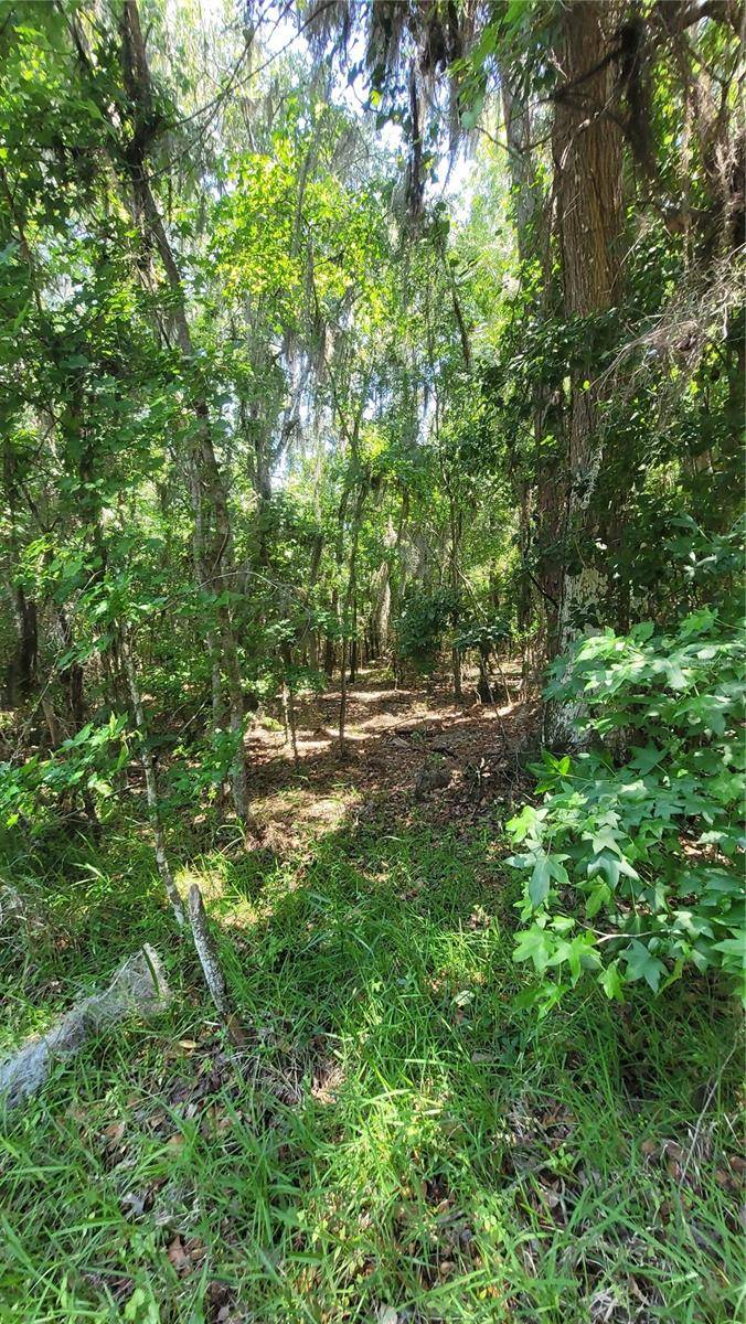 21779 NE 115TH AVE, Earleton, FL 32631