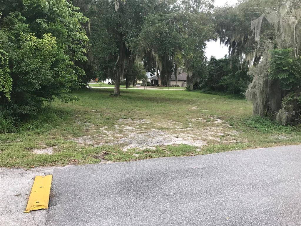 315 N SINCLAIR AVE, Tavares, FL 32778