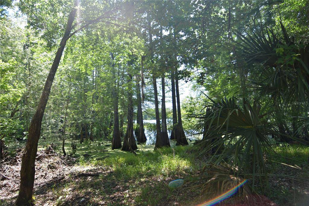 SW 64TH AVE, Bushnell, FL 33513