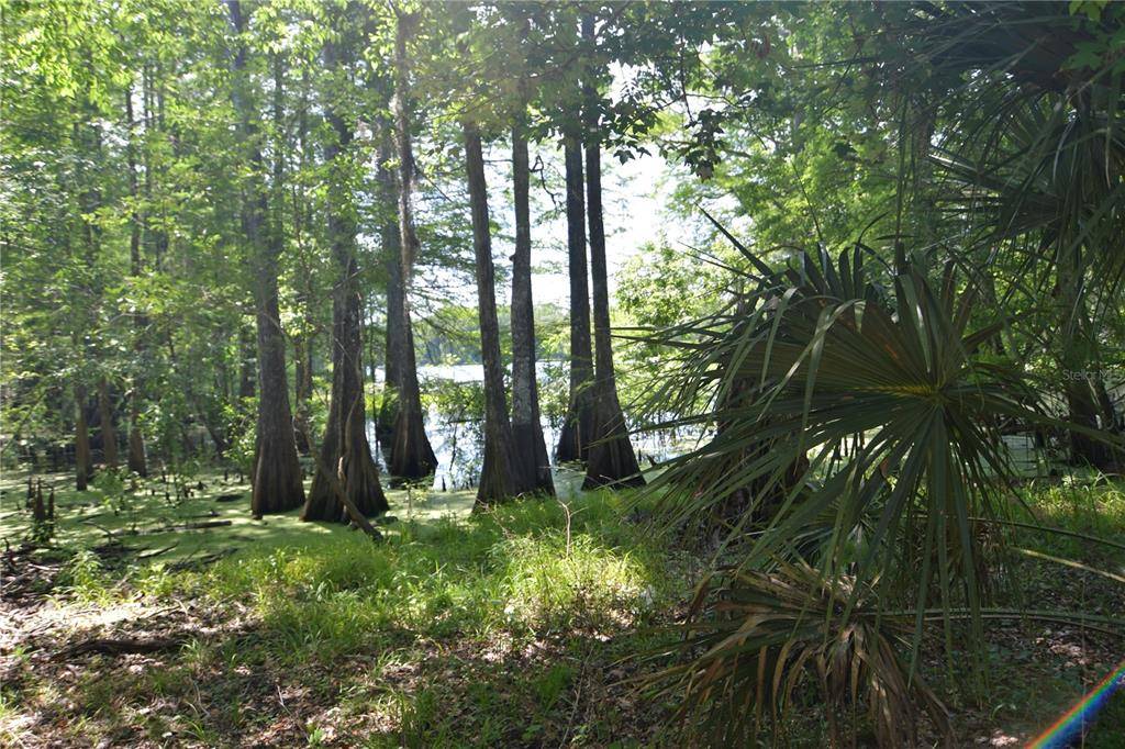 SW 64TH AVE, Bushnell, FL 33513