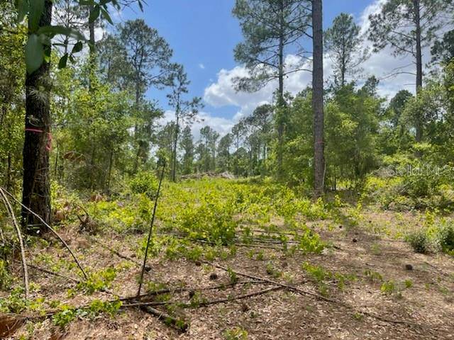 S OBRIEN RD, Groveland, FL 34736