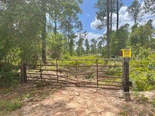S OBRIEN RD, Groveland, FL 34736