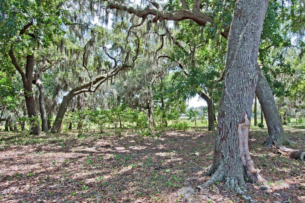 14704 OLD HIGHWAY 50, Clermont, FL 34711
