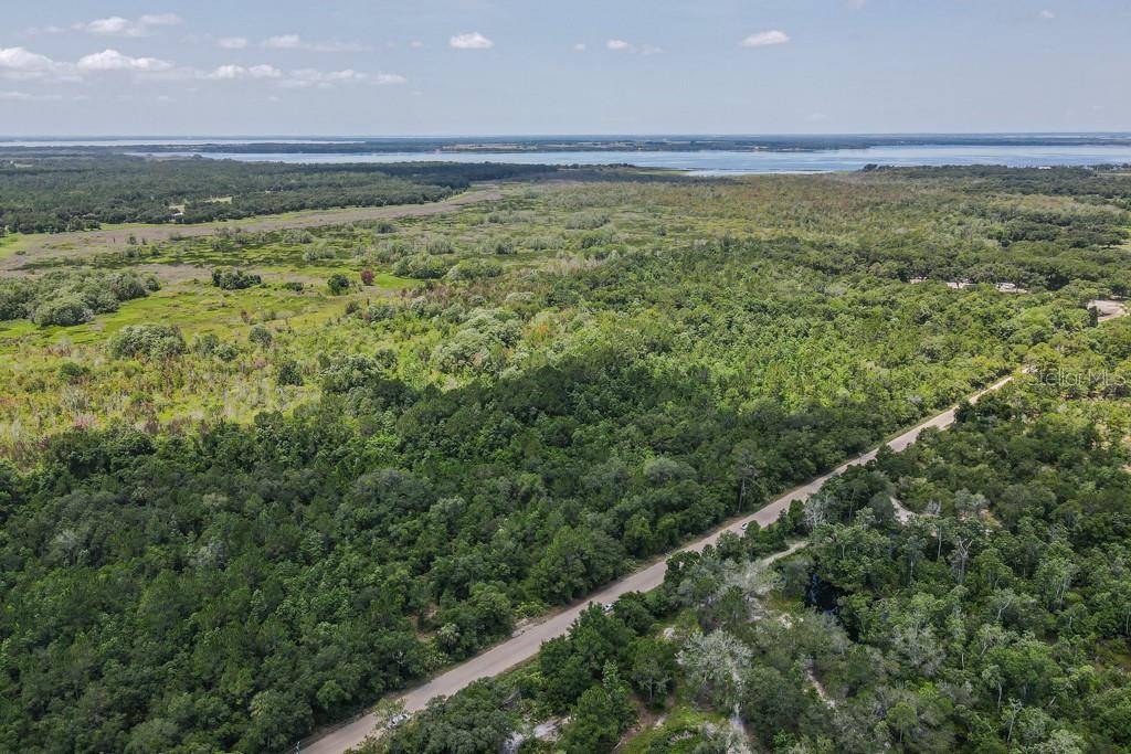 15820 WILSON PARRISH RD, Umatilla, FL 32784