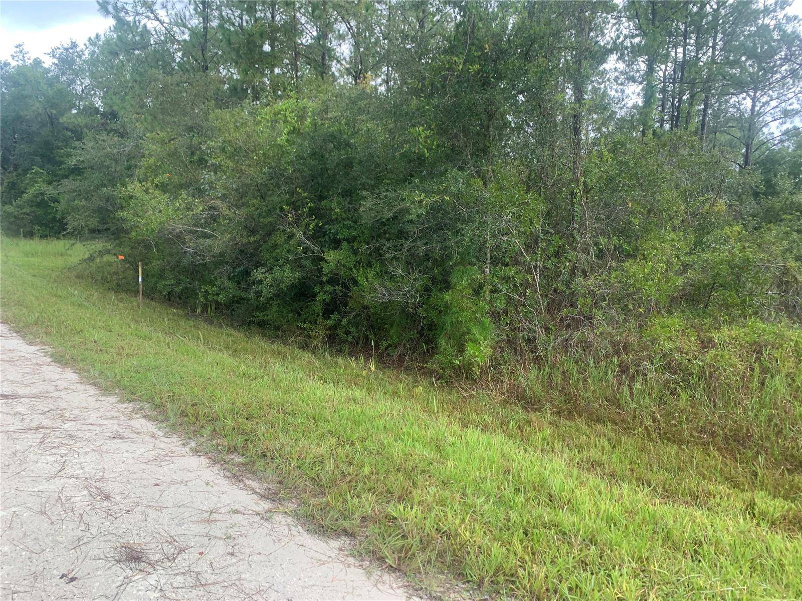 TBD OTTER DR #LOT 44, Webster, FL 33597