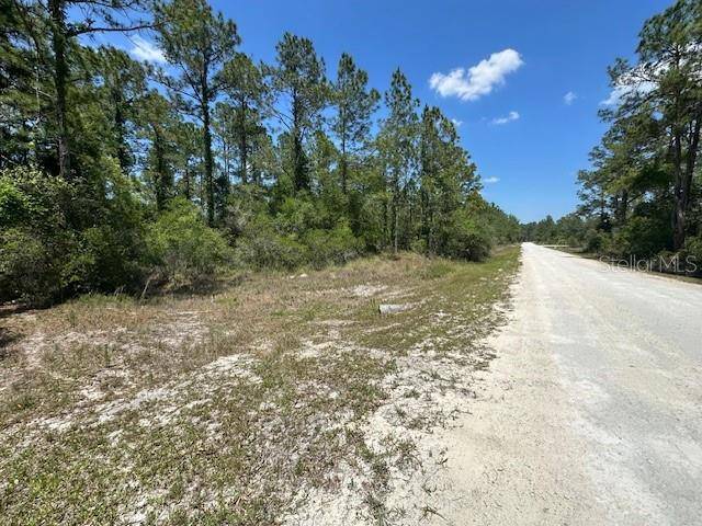 TBD OTTER DR #LOT 44, Webster, FL 33597
