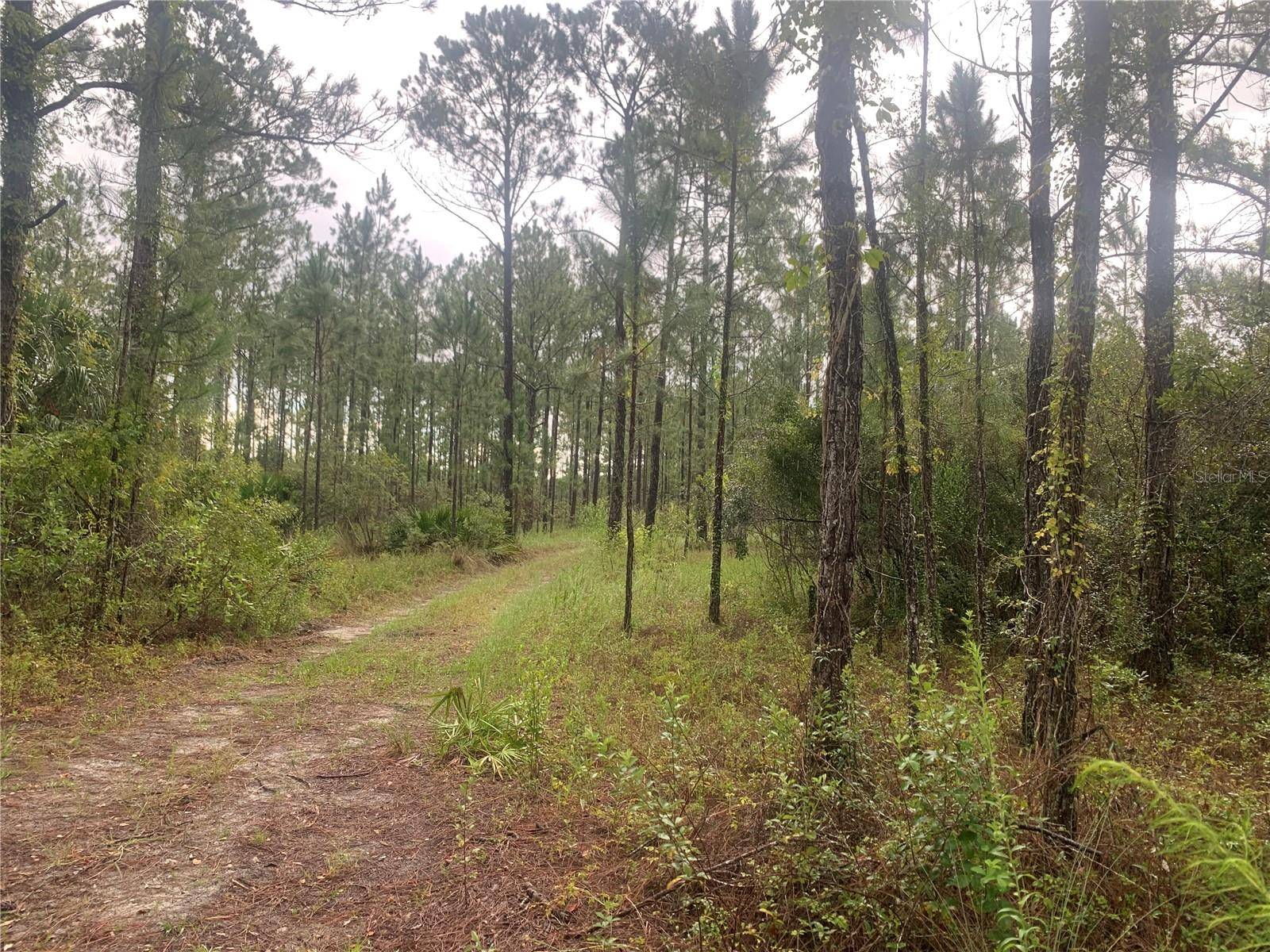 TBD OTTER DR #LOT 44, Webster, FL 33597