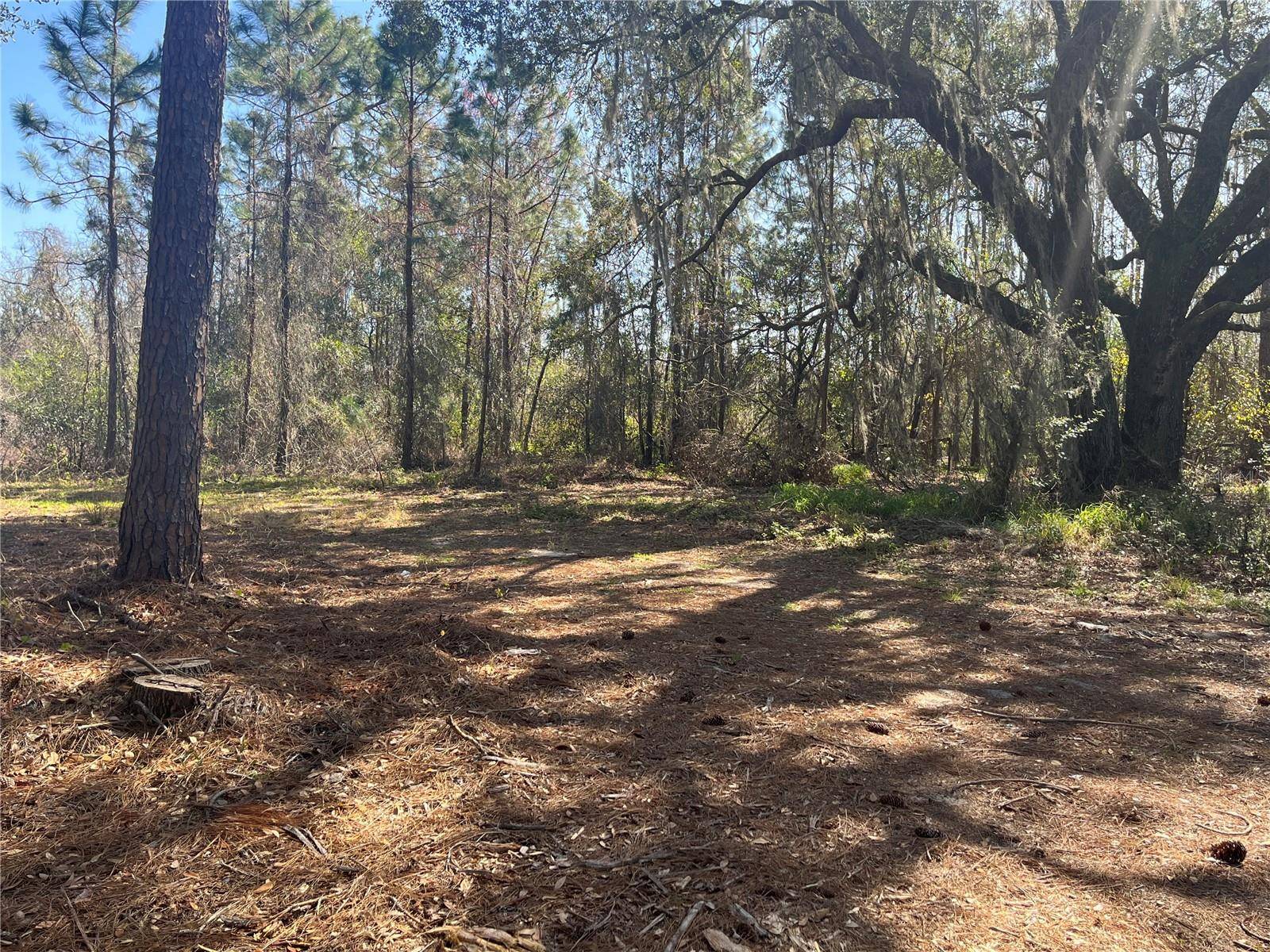 MOUNT PLEASANT RD, Groveland, FL 34736