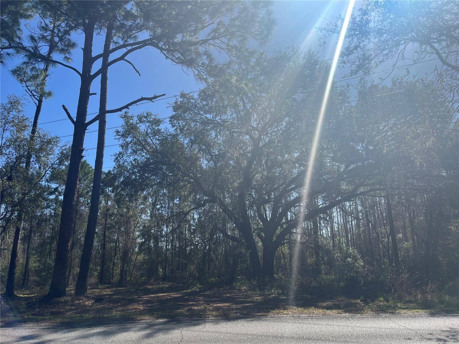 MOUNT PLEASANT RD, Groveland, FL 34736