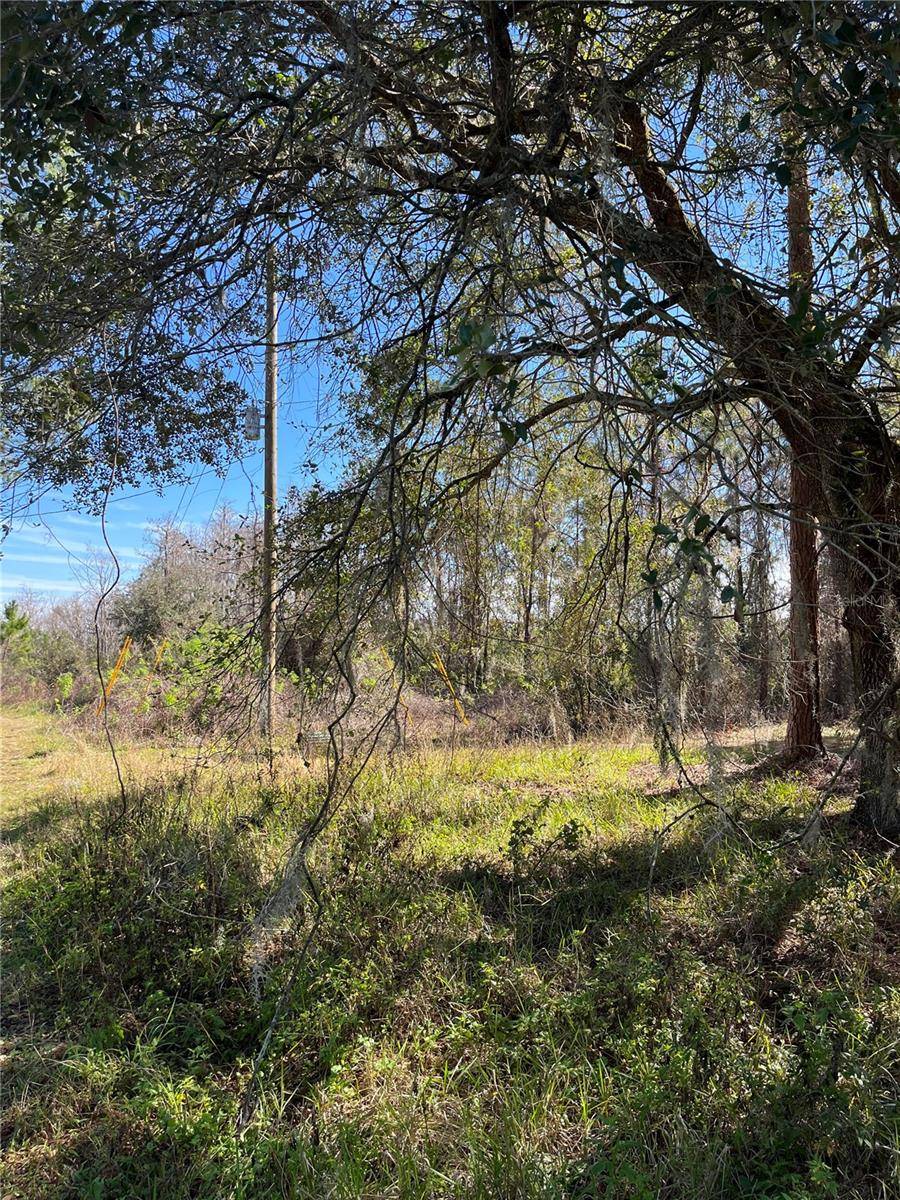 MOUNT PLEASANT RD, Groveland, FL 34736