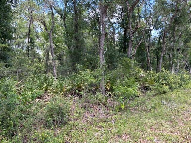 6471 OTTER DR, Webster, FL 33597