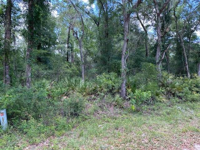 6471 OTTER DR, Webster, FL 33597