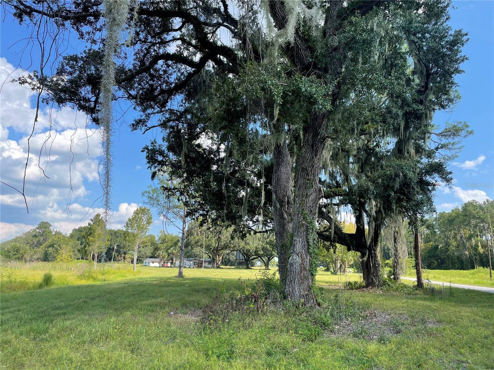 4102 COUNTY ROAD 181, Wildwood, FL 34785