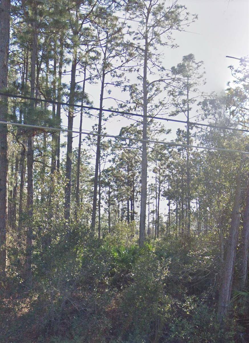 RALSTON ST, Orlando, FL 32833