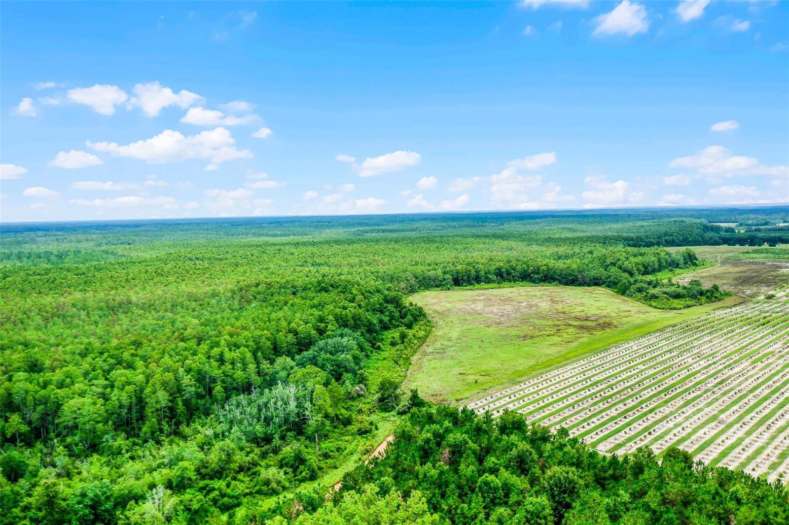 S BOGGY MARSH RD, Clermont, FL 34711