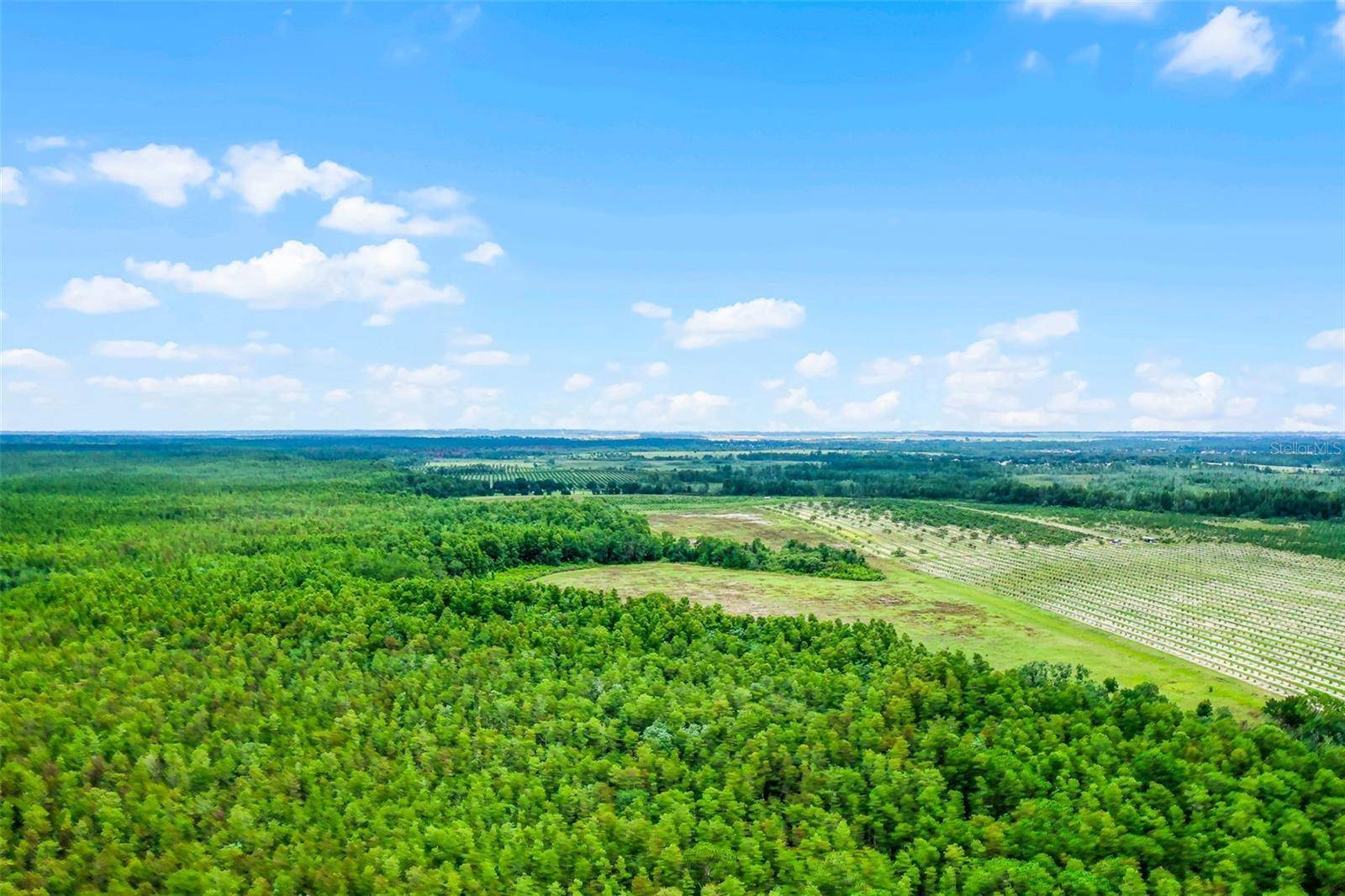 S BOGGY MARSH RD, Clermont, FL 34711