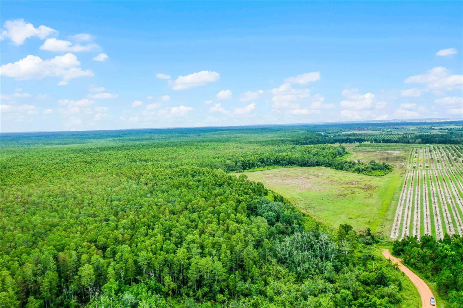 S BOGGY MARSH RD, Clermont, FL 34711