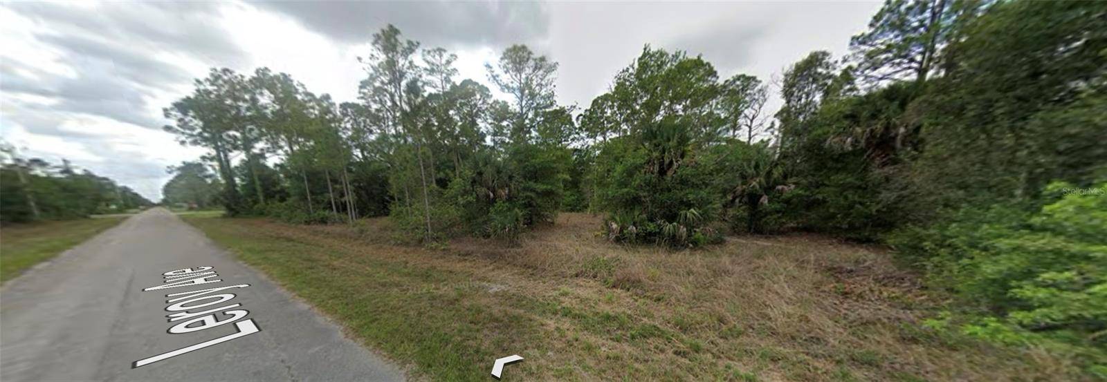 1007 LEROY AVE, Lehigh Acres, FL 33972