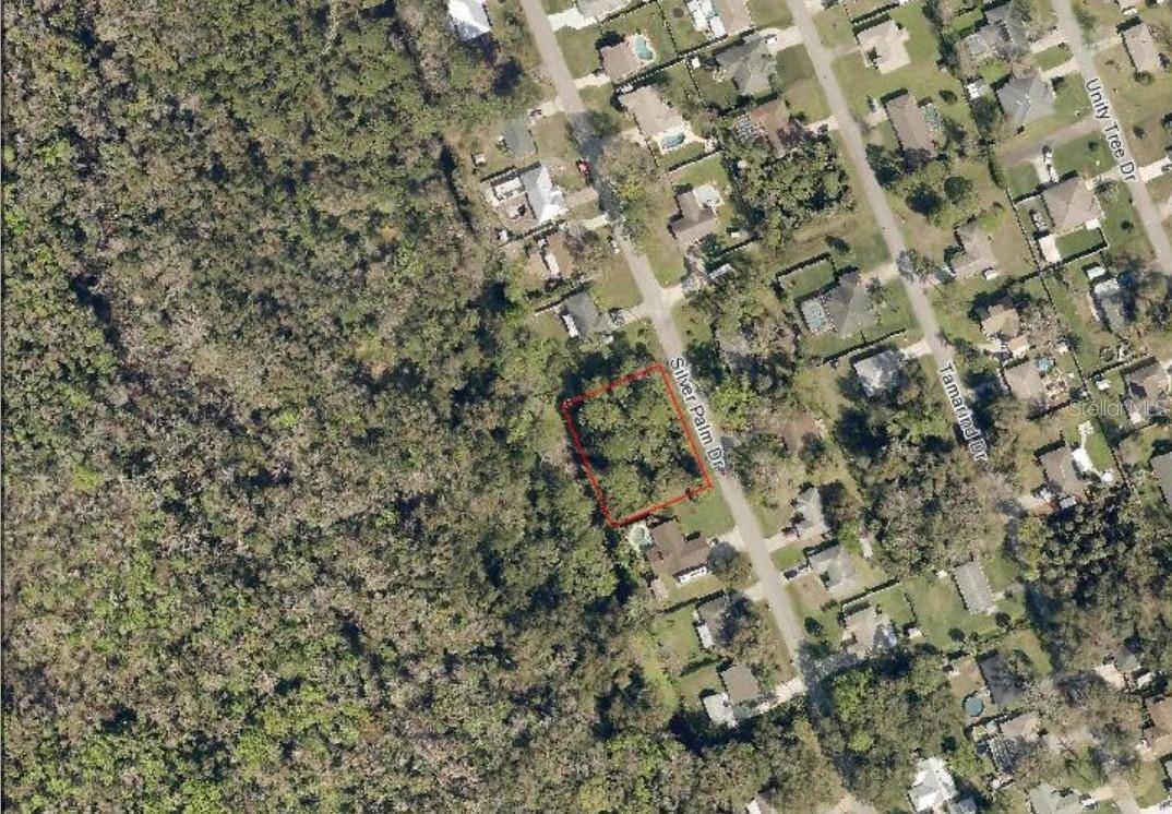 SILVER PALM DR, Edgewater, FL 32141