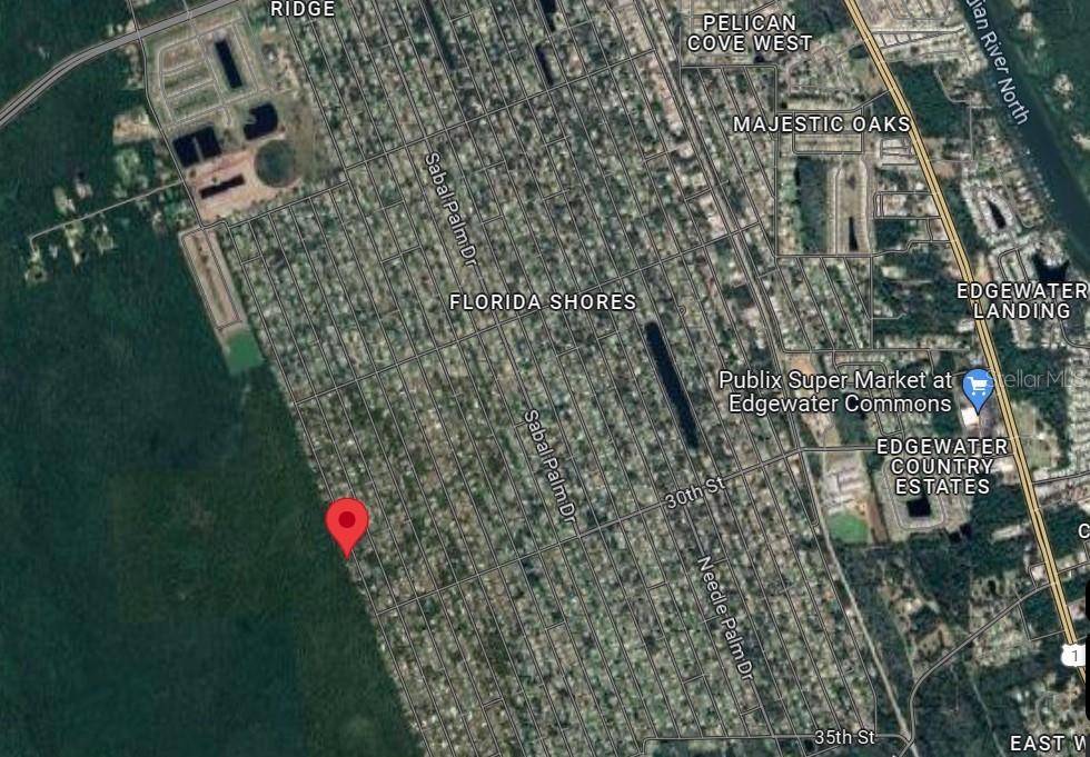 SILVER PALM DR, Edgewater, FL 32141