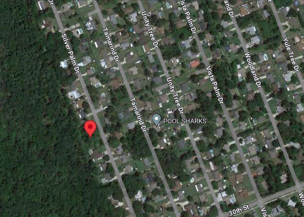 SILVER PALM DR, Edgewater, FL 32141