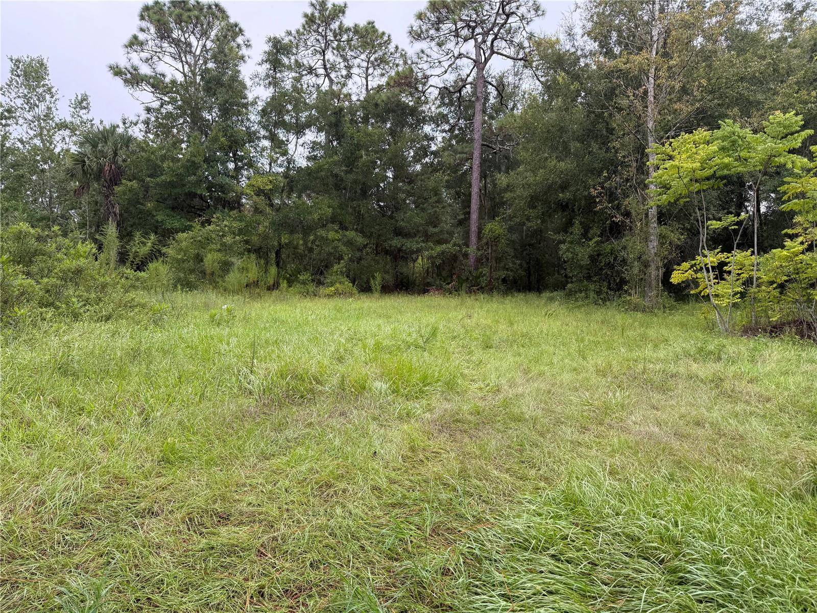 7435 W LINCOLN LN, Homosassa, FL 34448