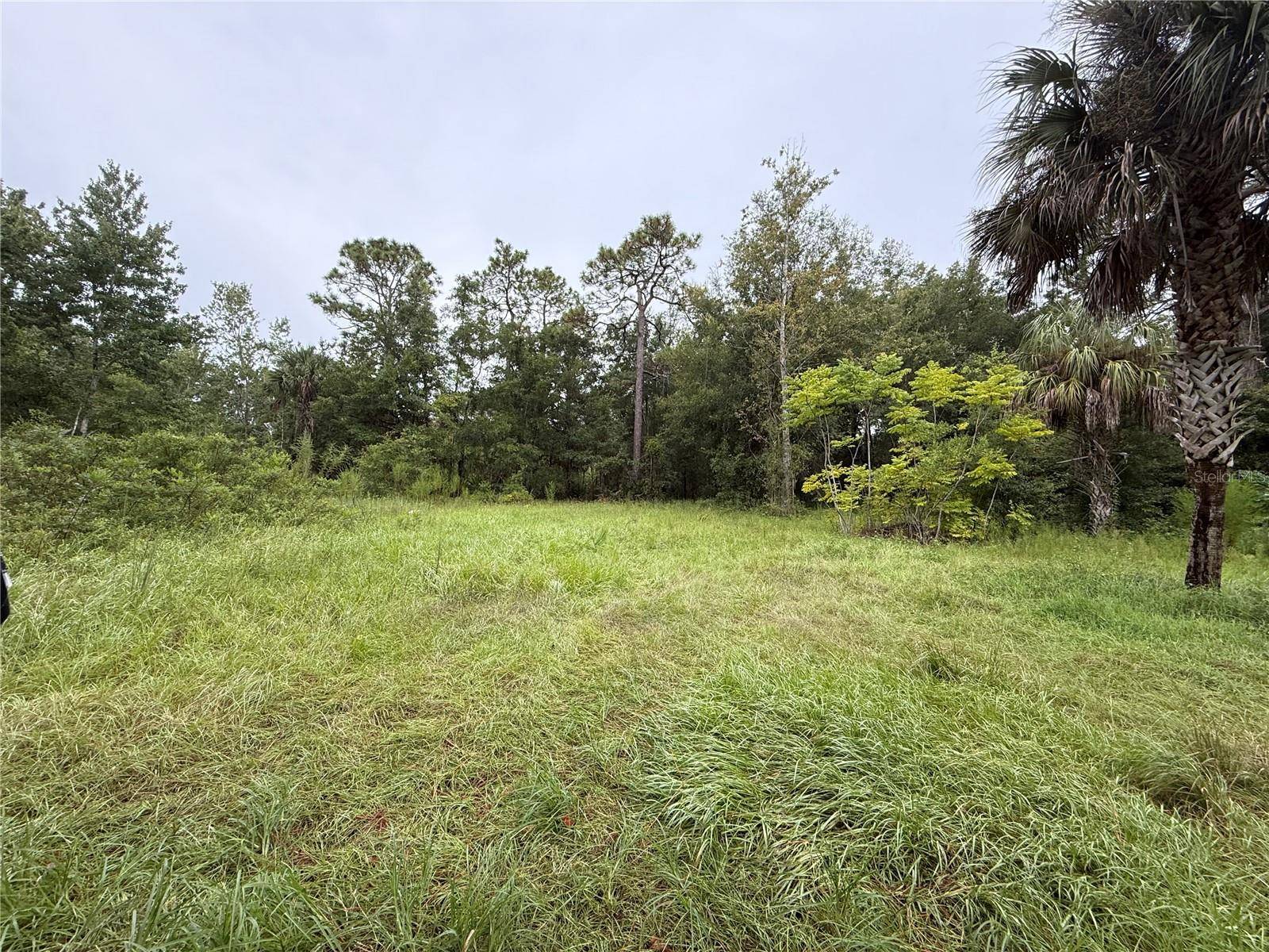 7435 W LINCOLN LN, Homosassa, FL 34448