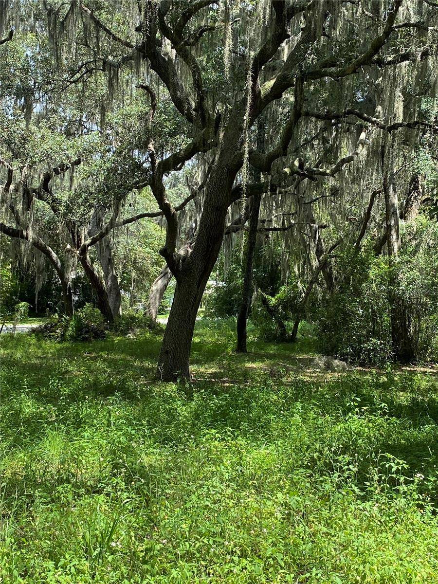 CR 448C, Lake Panasoffkee, FL 33538