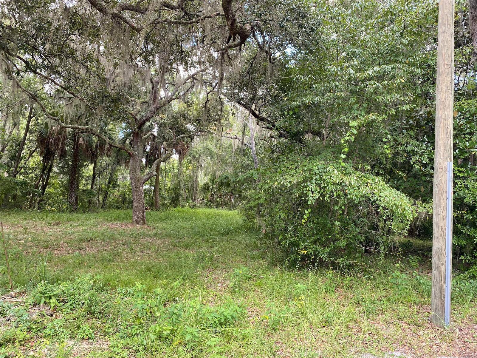 CR 448C, Lake Panasoffkee, FL 33538