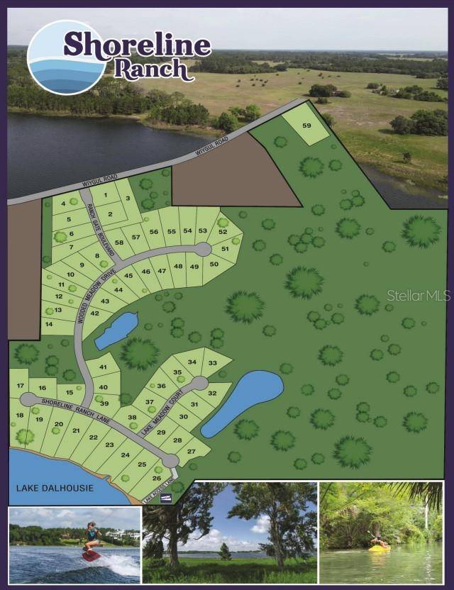 38521 WOODED MEADOW DR, Umatilla, FL 32784