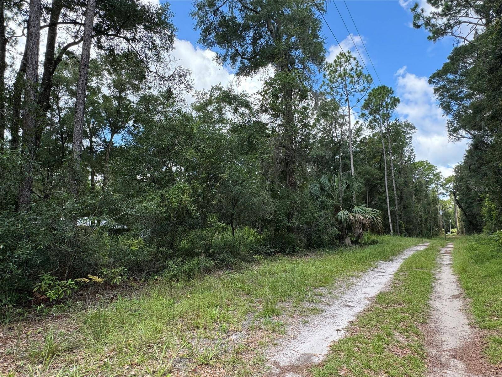 NW 58TH PL, Chiefland, FL 32626