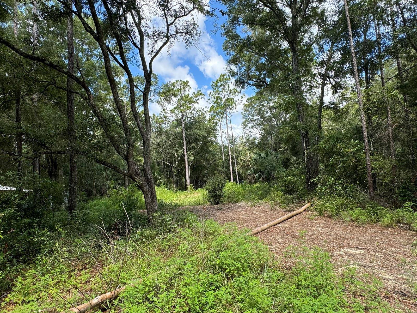 NW 58TH PL, Chiefland, FL 32626
