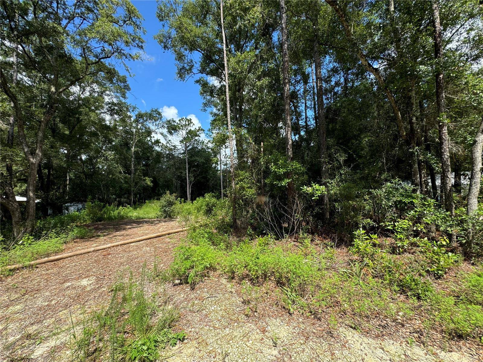 NW 58TH PL, Chiefland, FL 32626