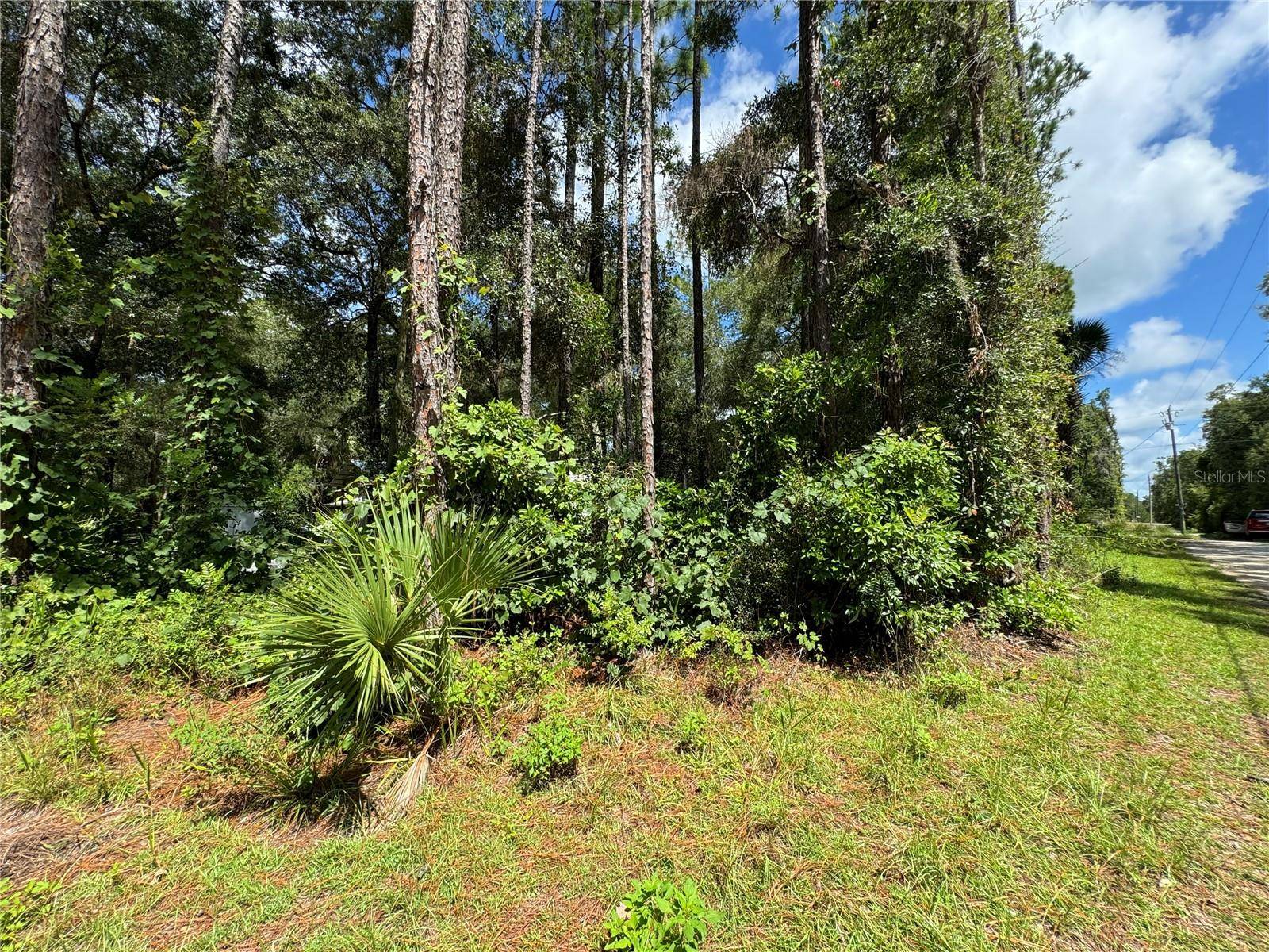 NW 58TH PL, Chiefland, FL 32626